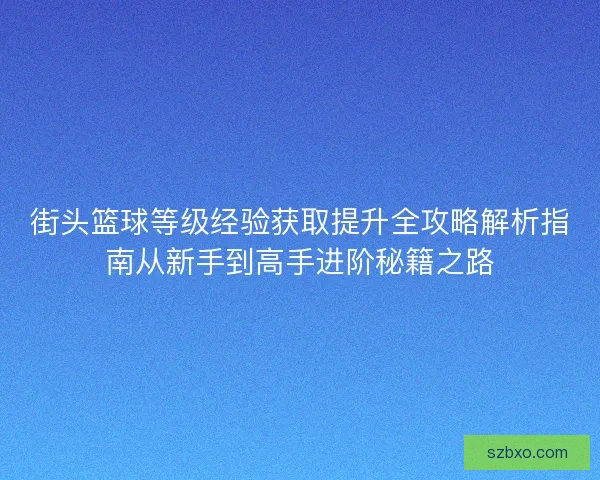 街头篮球等级经验获取提升全攻略解析指南从新手到高手进阶秘籍之路 街头篮球等级经验获取提升全攻略解析指南从新手到高手进阶秘籍之路