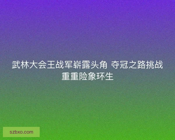 武林大会王战军崭露头角 夺冠之路挑战重重险象环生